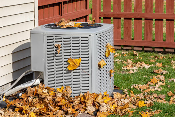 Best HVAC Companies Near Me  in Williamsburg, FL