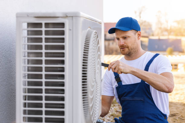 Best Local HVAC Companies  in Williamsburg, FL